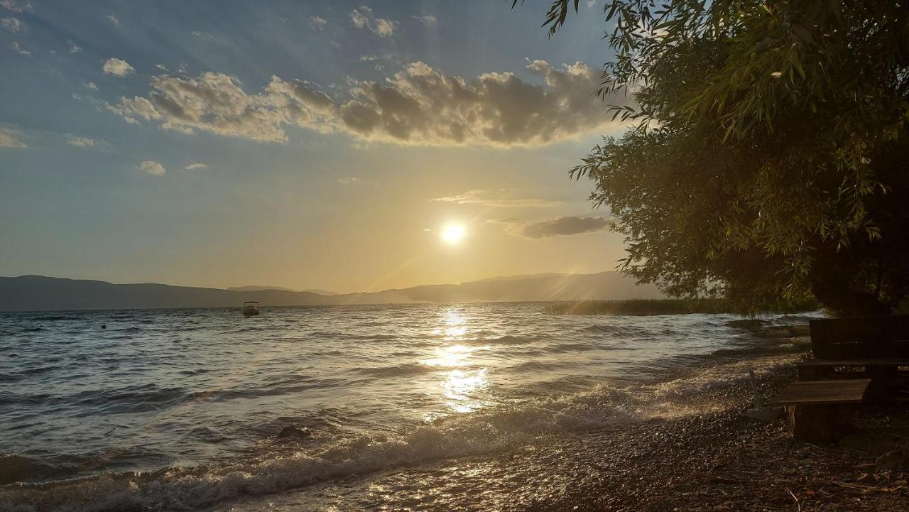 Apartment Ana V-Peshtani Ohrid Exteriör bild
